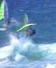 Picture Here